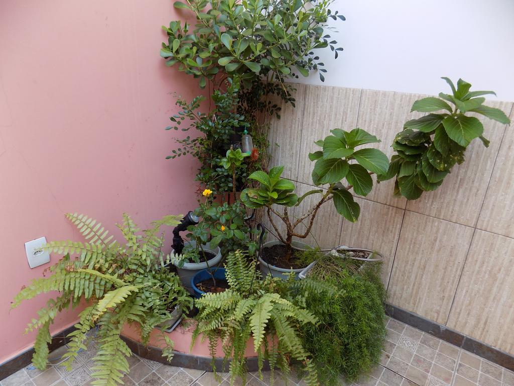 Albergue Rio Vermelho Salvador Buitenkant foto